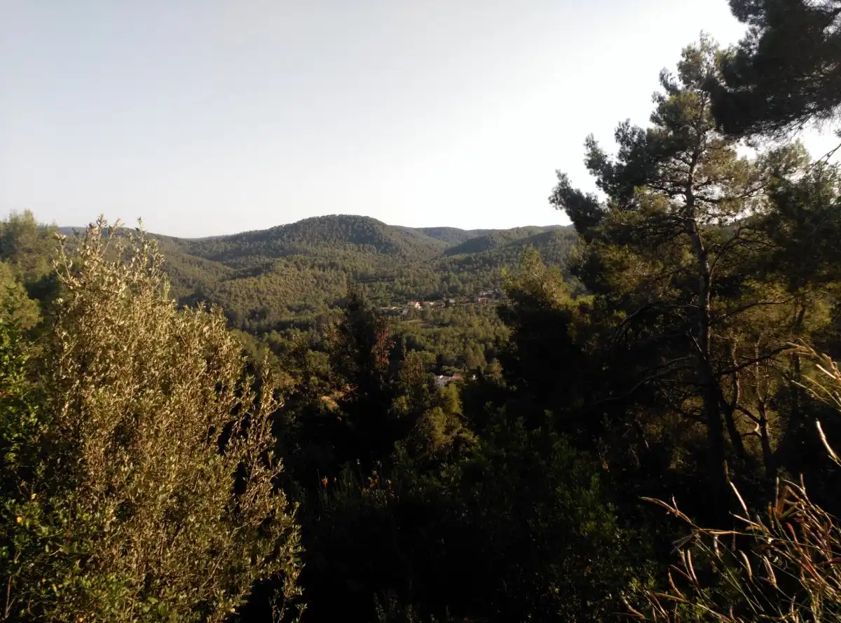 Terreni e lotti in vendita a Corbera de Llobregat, imagen 43