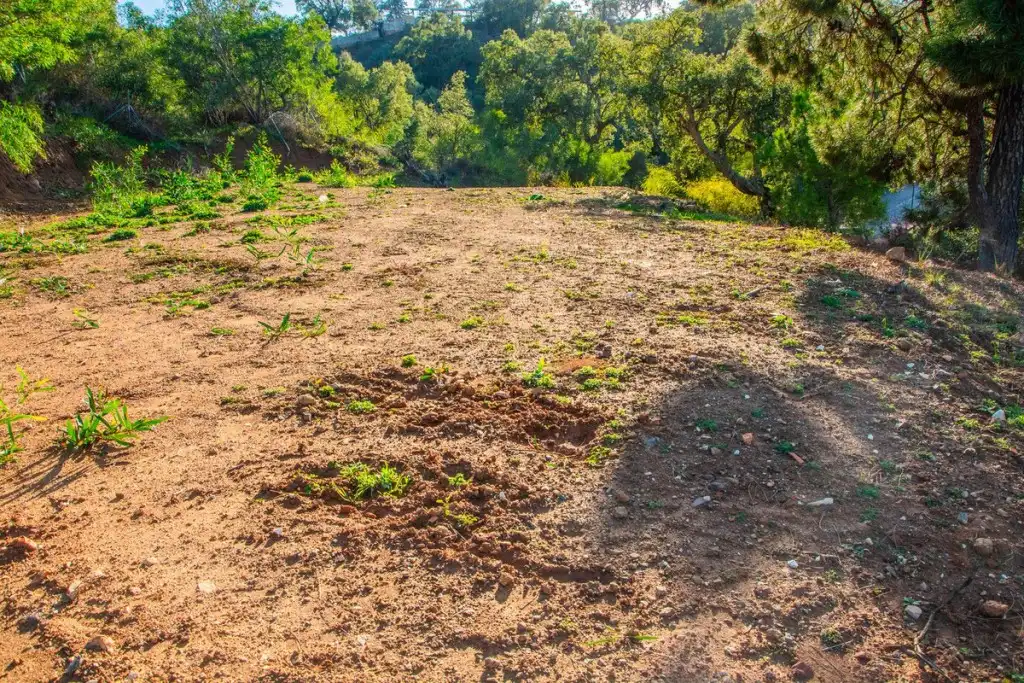 Terrains et parcelles à vendre à La Mairena, imagen 7