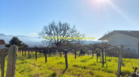 Photo 4 of Residential for sale in Tui, Pontevedra