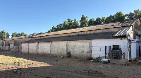 Foto 4 de Terreno industrial en venta en La Cruz, Camas