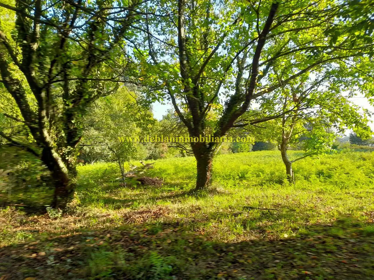 Rural land for sale in Tomiño, imagen 8