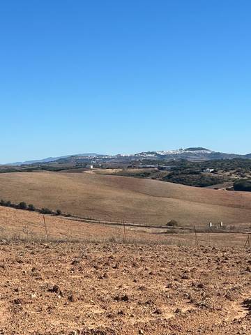 Terreno en Venta en Medina Sidonia