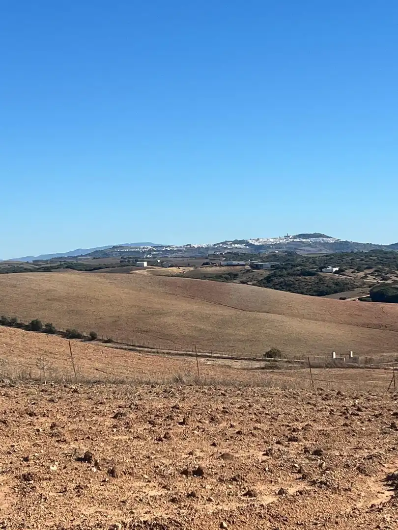 Terreny rústic en venda a Medina Sidonia