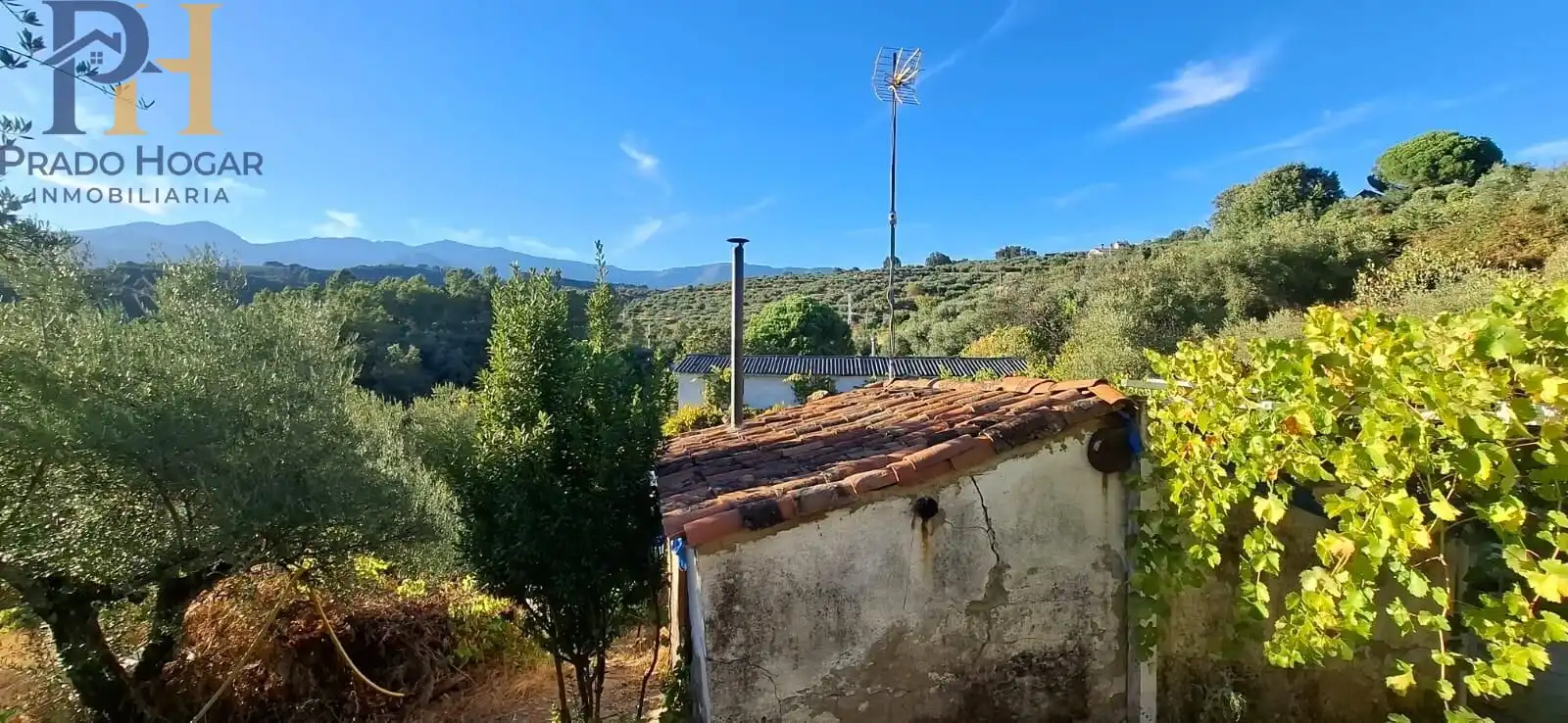 Maison à vendre à Arenas de San Pedro, imagen 12