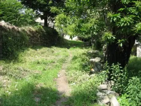 Casa o xalet en venda en Palacios del Sil