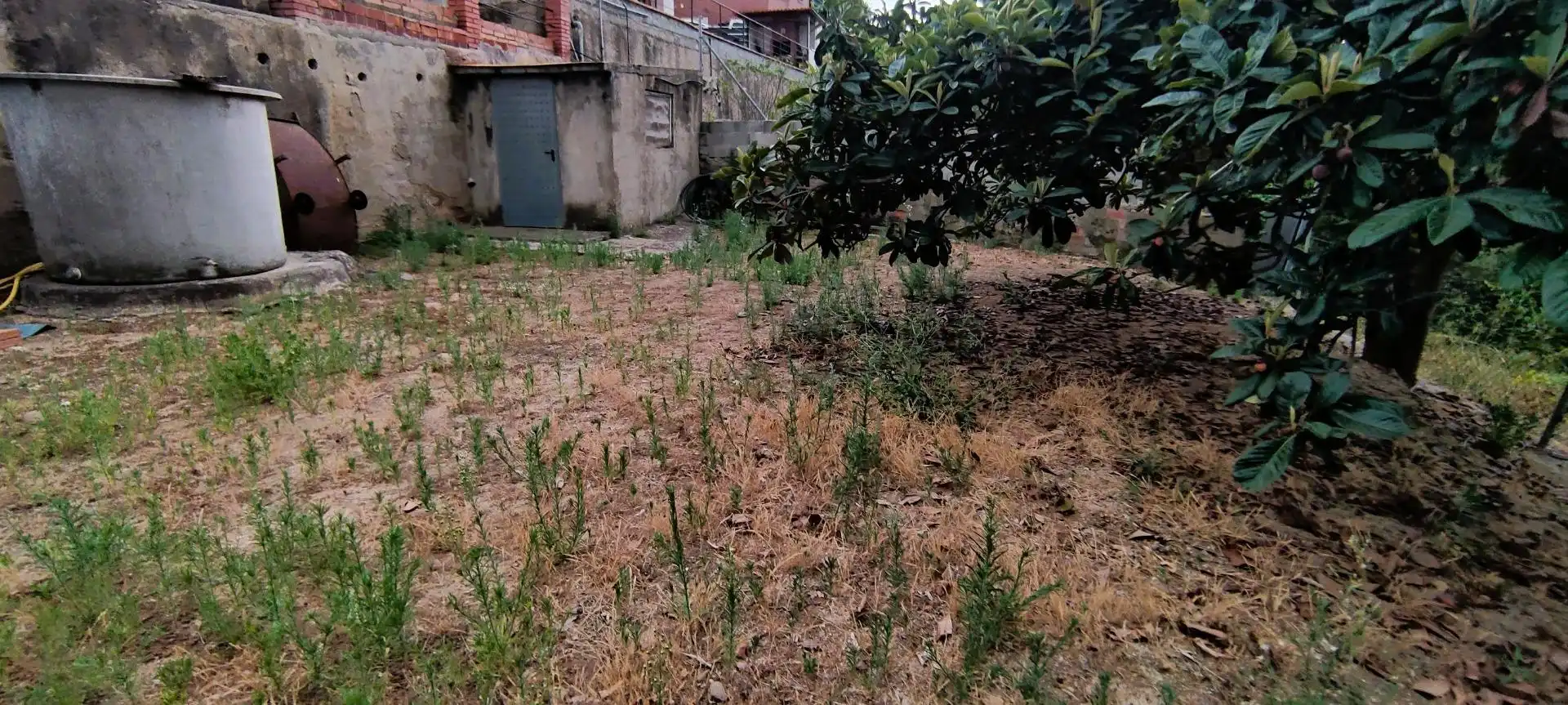 Terrenos y solares en venta en Calle d'Ausiàs March, imagen 24