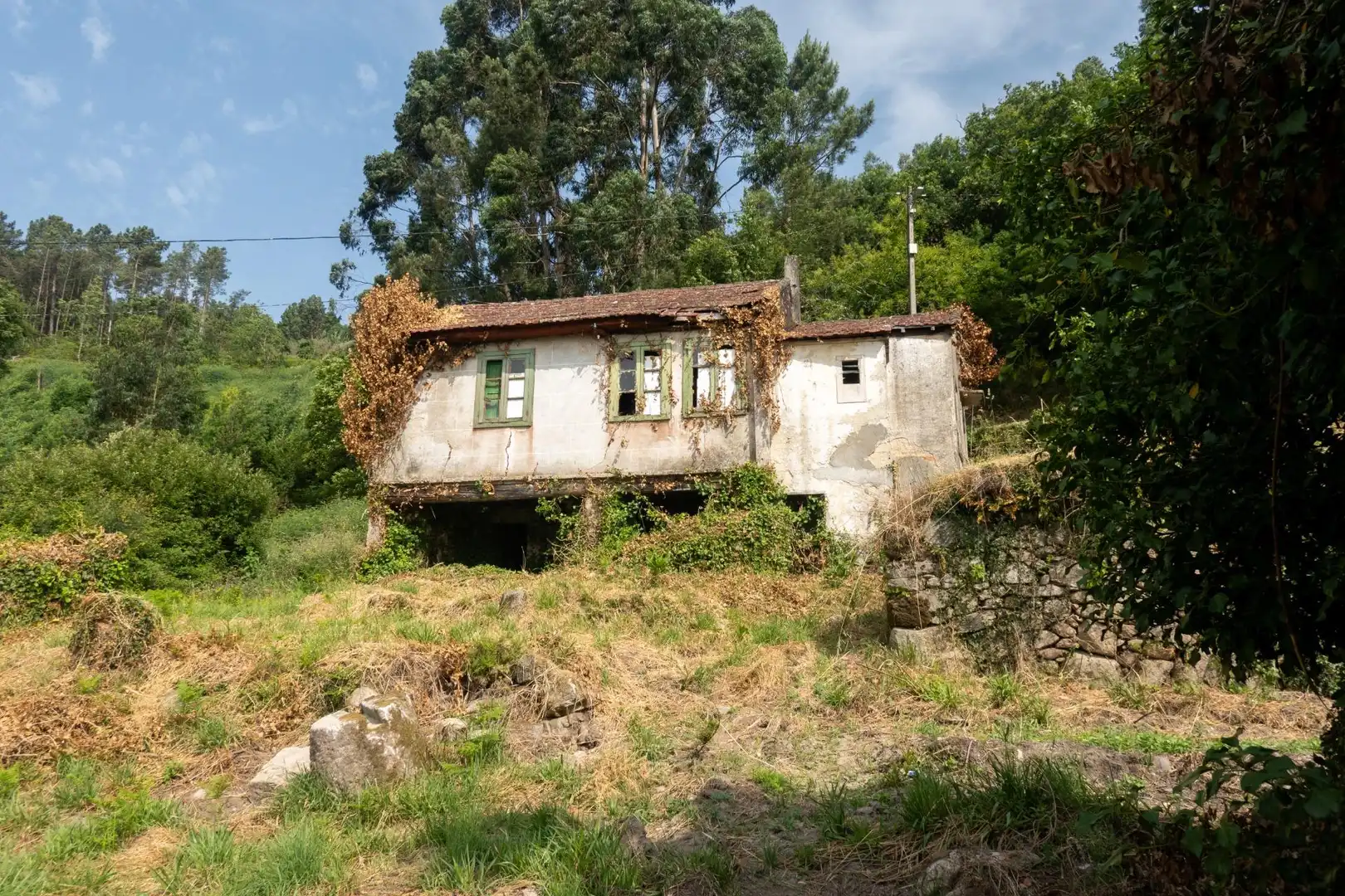 Vista exterior de Finca rústica en venda en Arbo amb Jardí privat