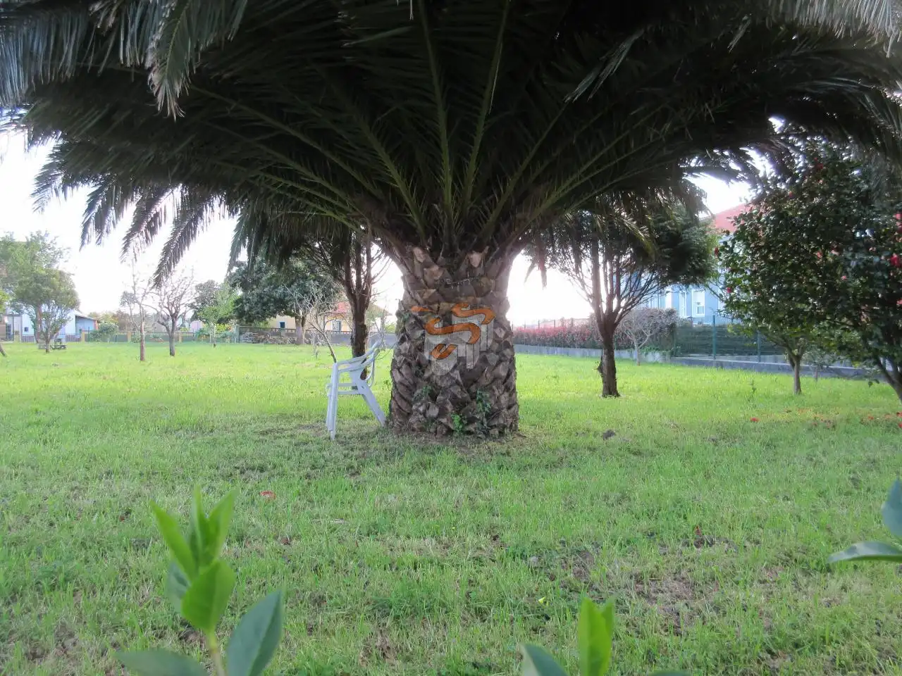 Terreni e lotti in vendita a A Malata - Catabois - Ciudad Jardín, imagen 9