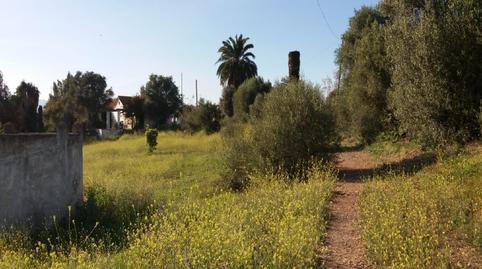 Foto 4 de Residencial en venda a Campanillas, Málaga