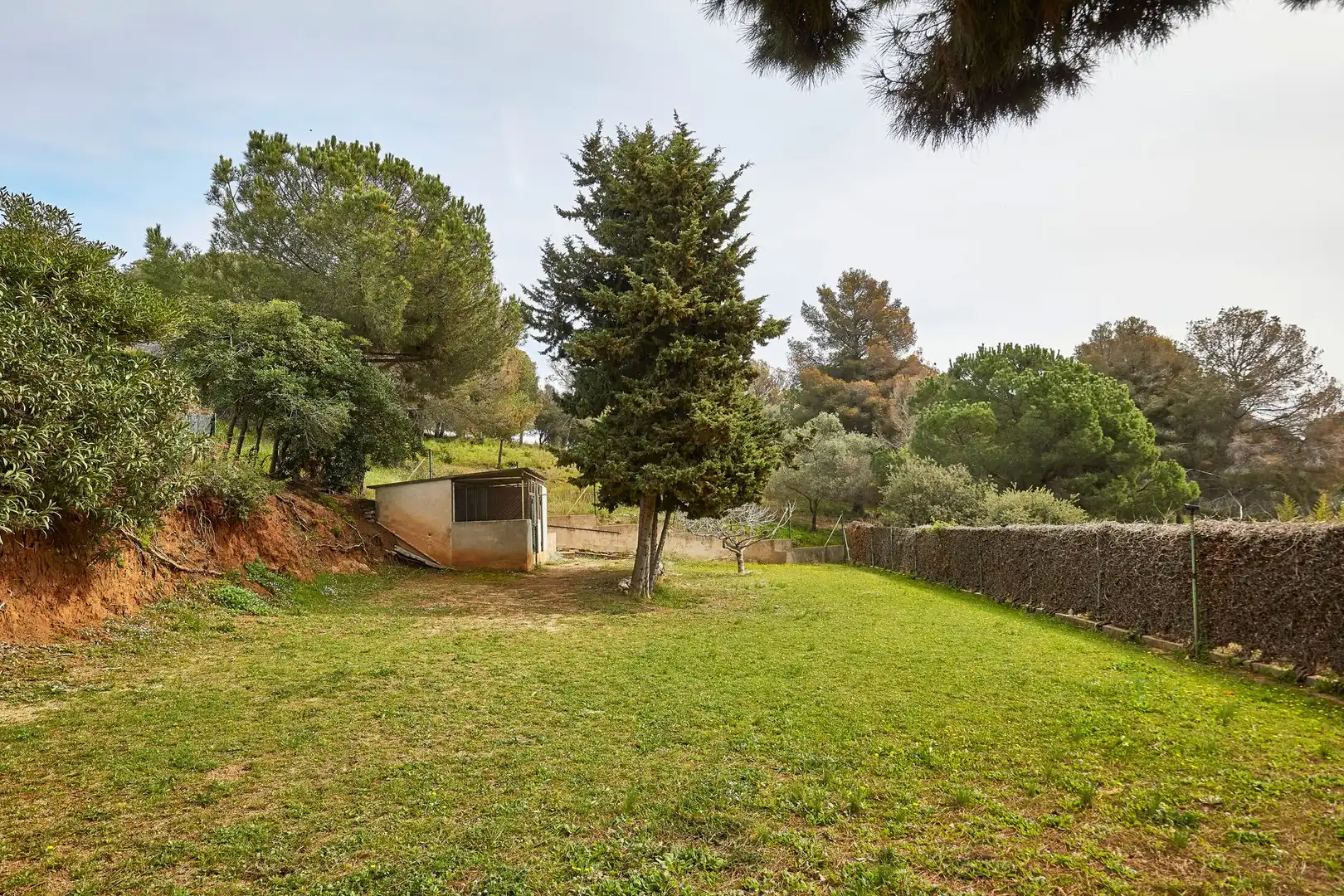Casa amb terrassa en venda a Carrer dels Llimoners, imagen 60