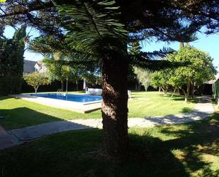 Jardí de Casa o xalet en venda en El Puerto de Santa María amb Aire condicionat, Jardí privat i Piscina