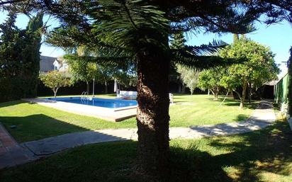 Jardí de Casa o xalet en venda en El Puerto de Santa María amb Aire condicionat, Jardí privat i Piscina