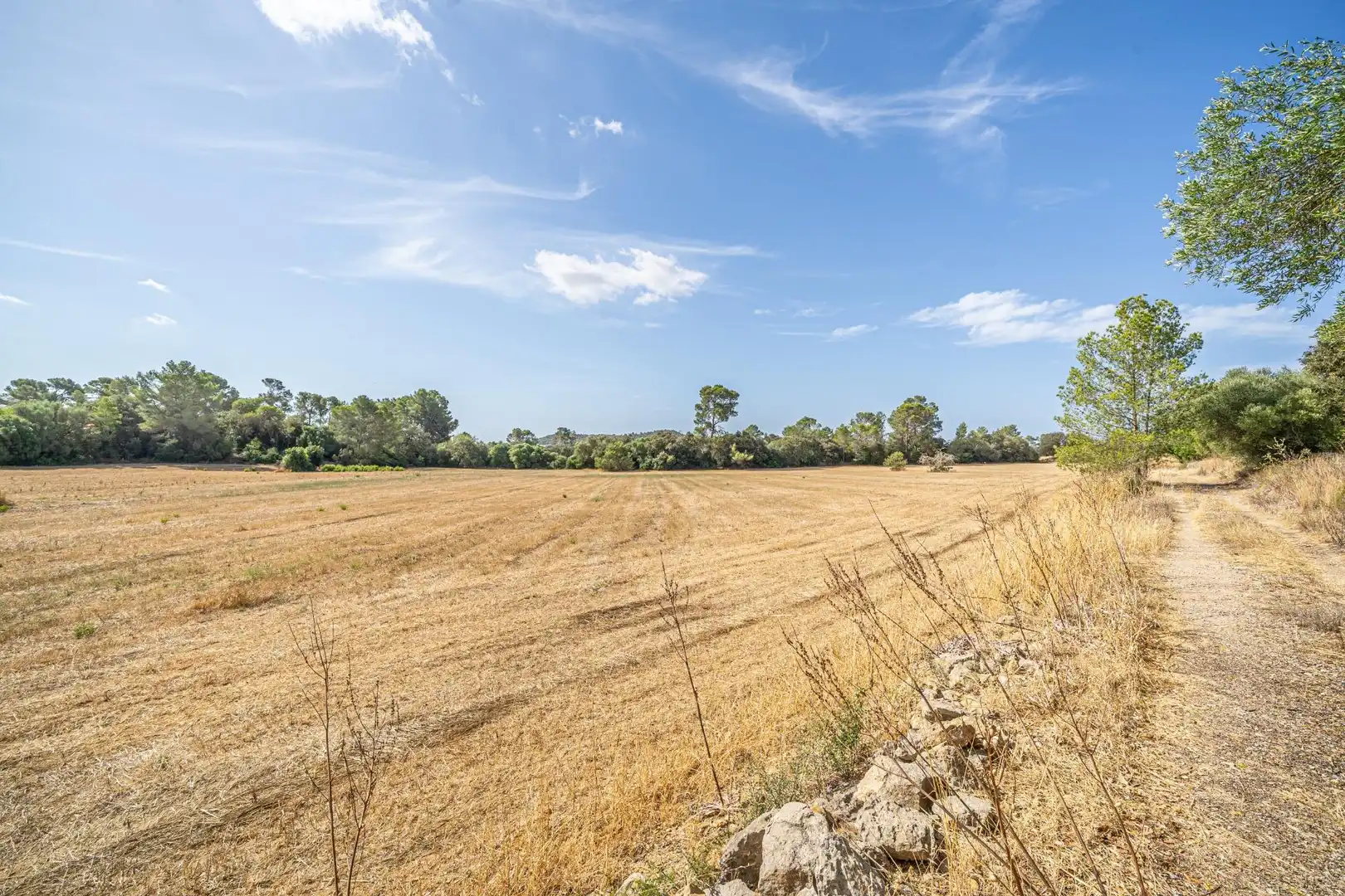 Terrain rustique à vendre à Diseminado Son Mora 199, imagen 21