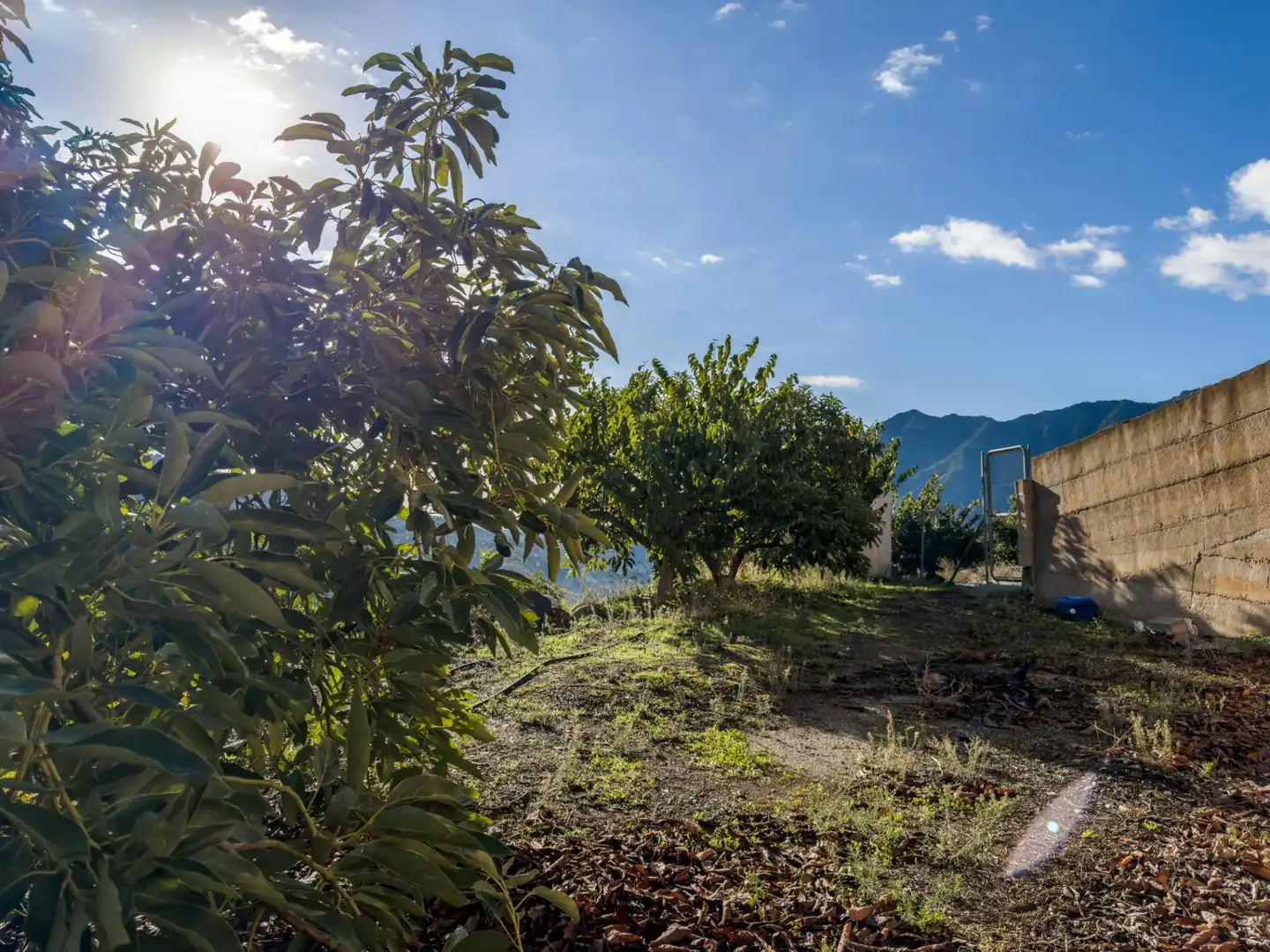 Finca rústica en venda en Los Guájares amb Terrassa i Traster