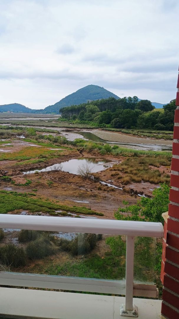 Exterior view of Flat for sale in Bárcena de Cicero  with Heating, Furnished and Oven