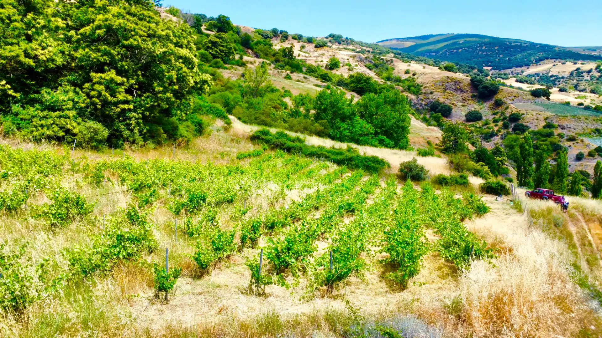 Terreni e lotti in vendita a Alpujarra de la Sierra, imagen 24
