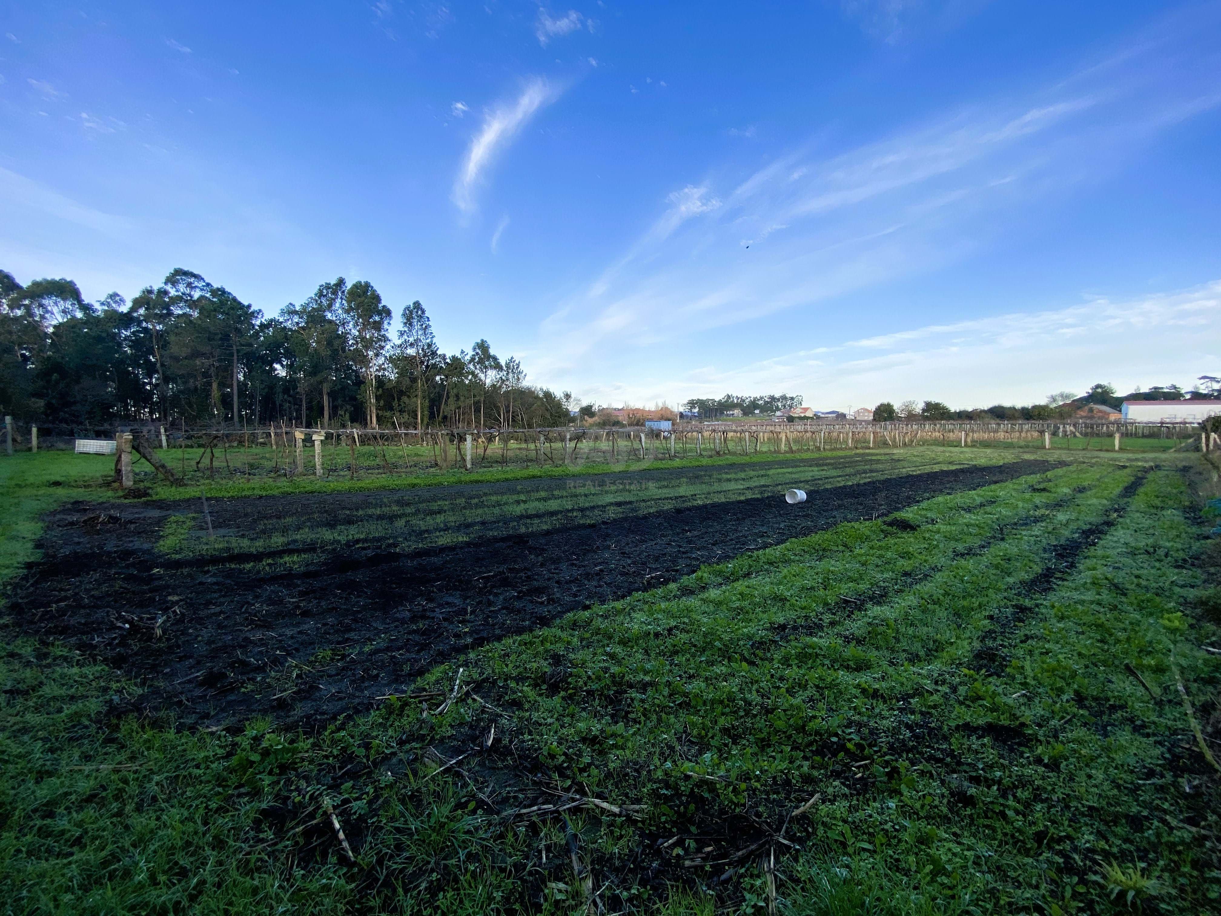 Residencial en venta en Vilanova de Arousa