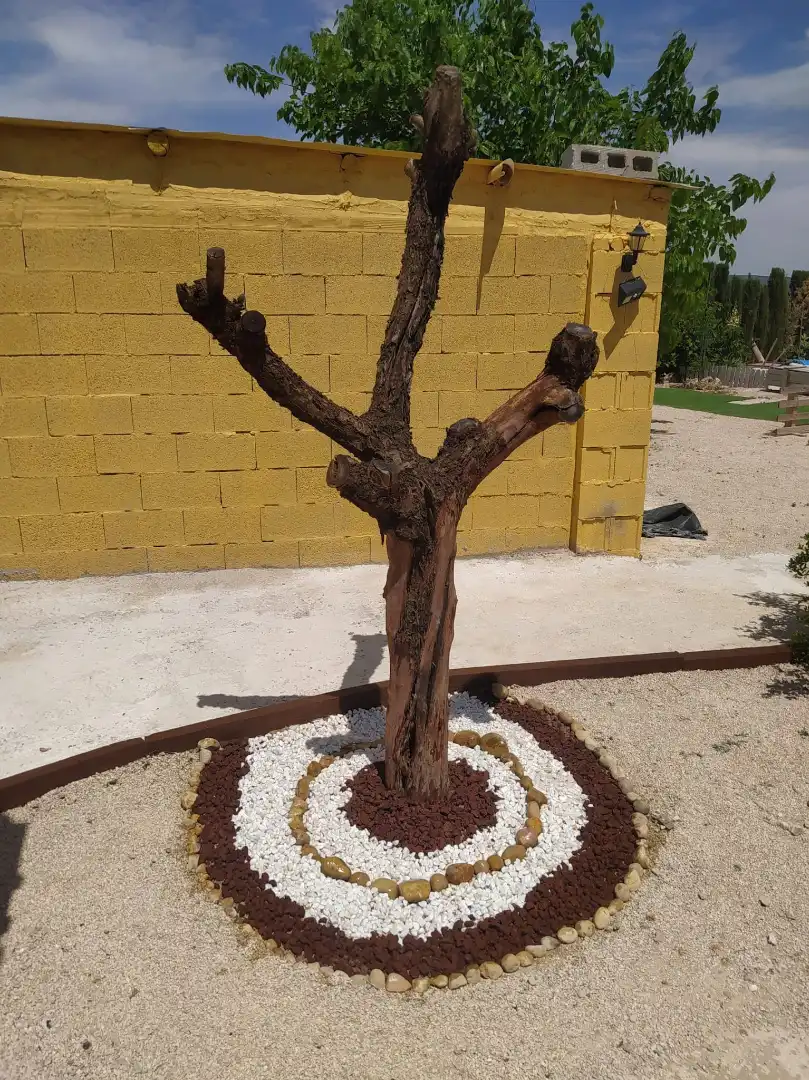 Casa rustica con piscina in vendita a Terreno Diseminados, imagen 16