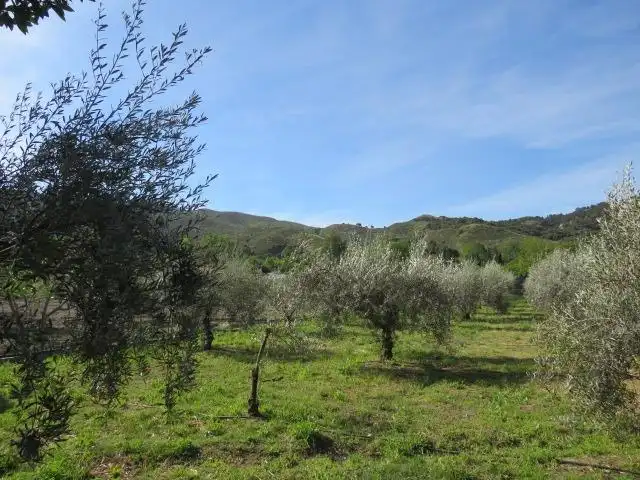 Land for sale in Cenes de la Vega