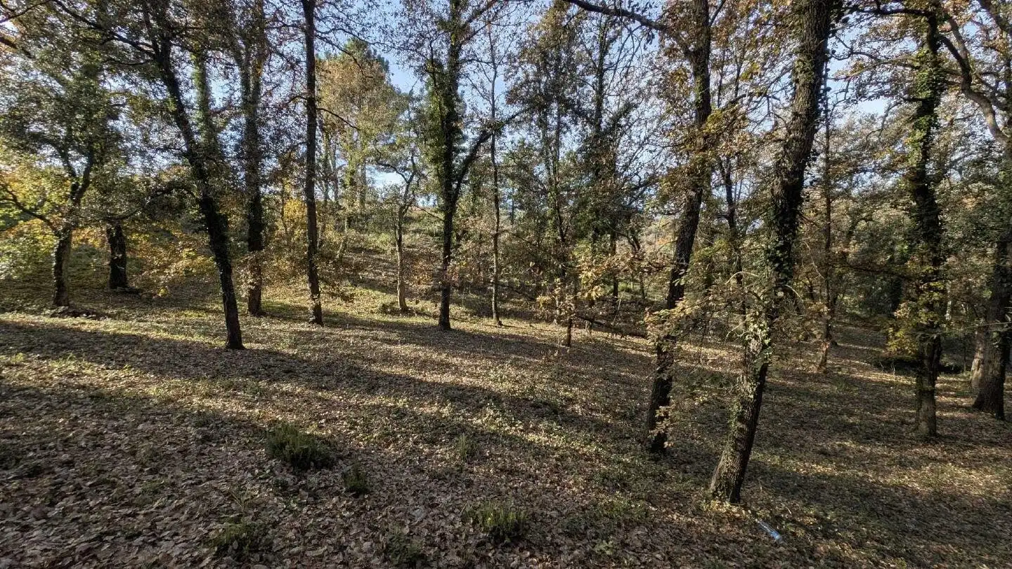 Wohnbaugrundstück zum Verkauf in Bescanó, imagen 7