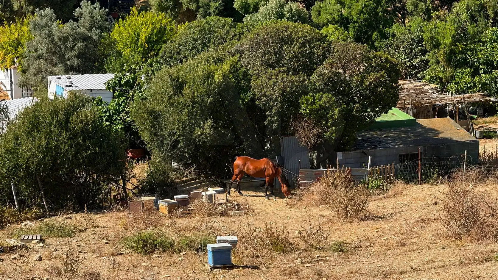 Maison à vendre à Tarifa ciudad, imagen 22