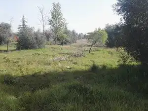 Terreno en venta en Piedrabuena