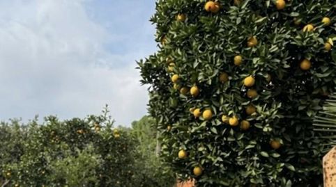 Photo 3 of Country homes for sale in C. Ulpiano Blanco, Valdezorras - El Gordillo, Sevilla Capital