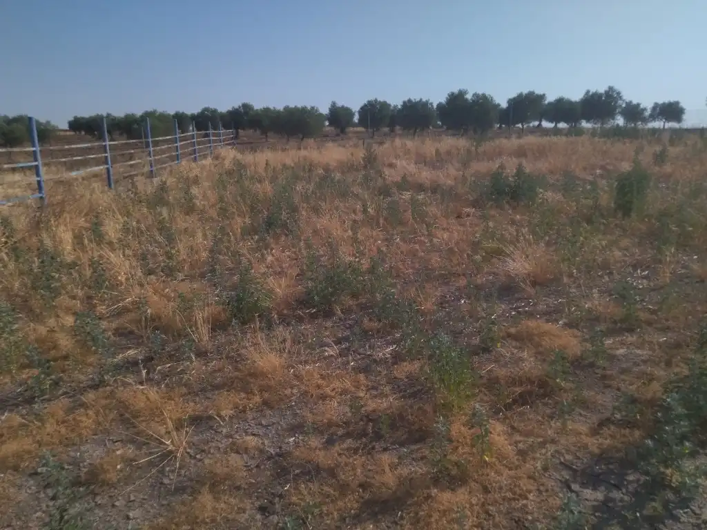 Terreni e lotti in vendita a La Haba, imagen 21