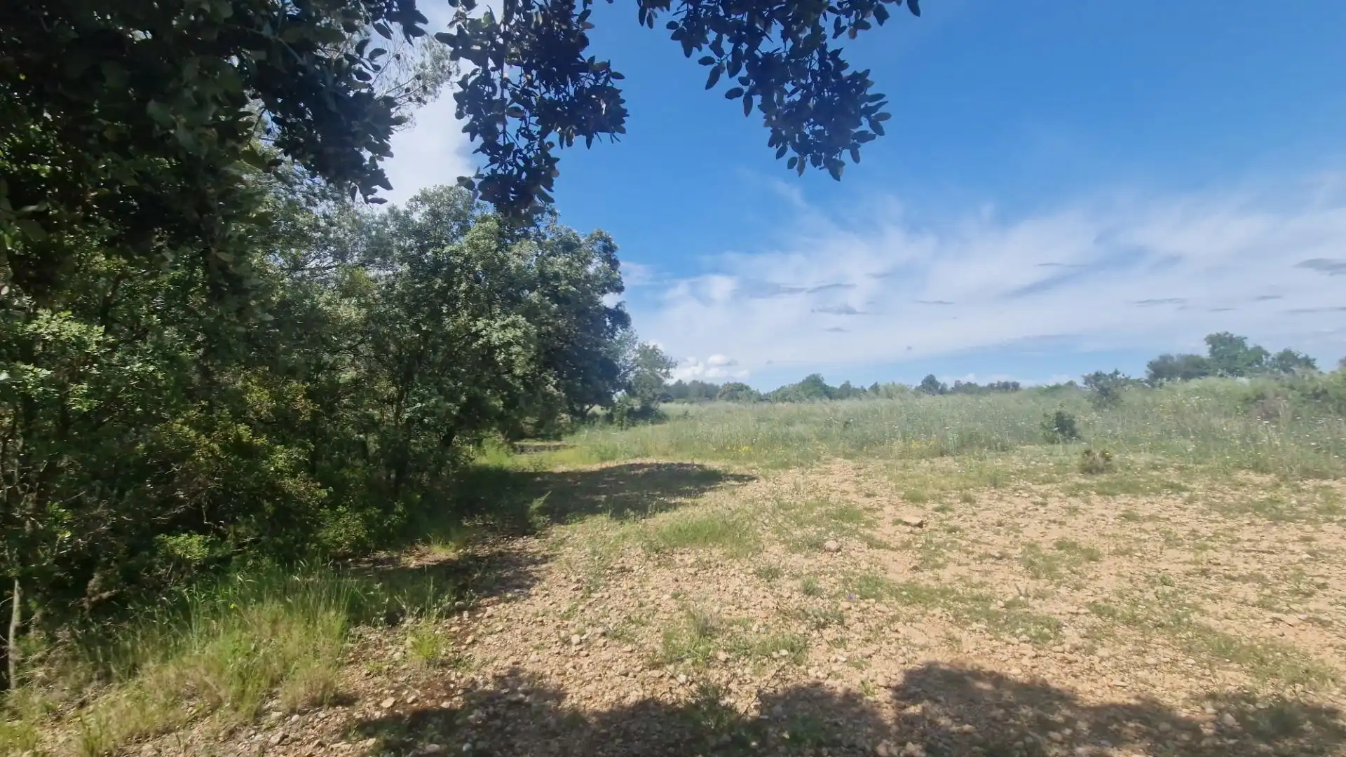 Terreno rustico in vendita a Valls, imagen 29