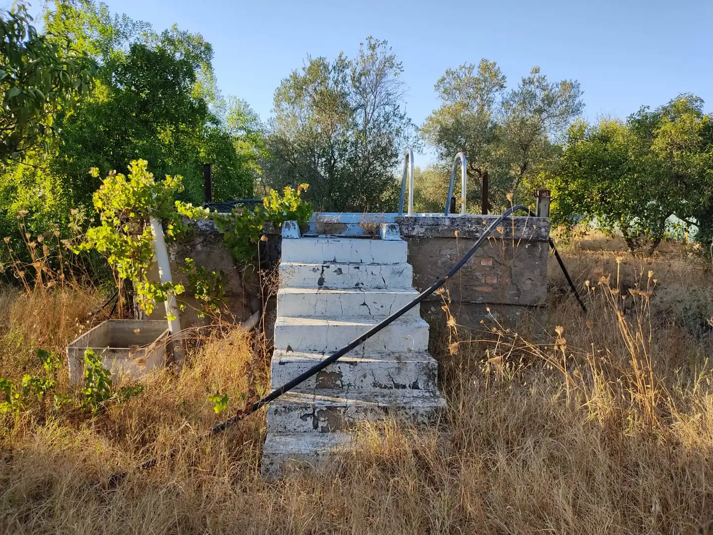 Vista exterior de Casa o xalet en venda en Utrera amb Jardí privat i Piscina