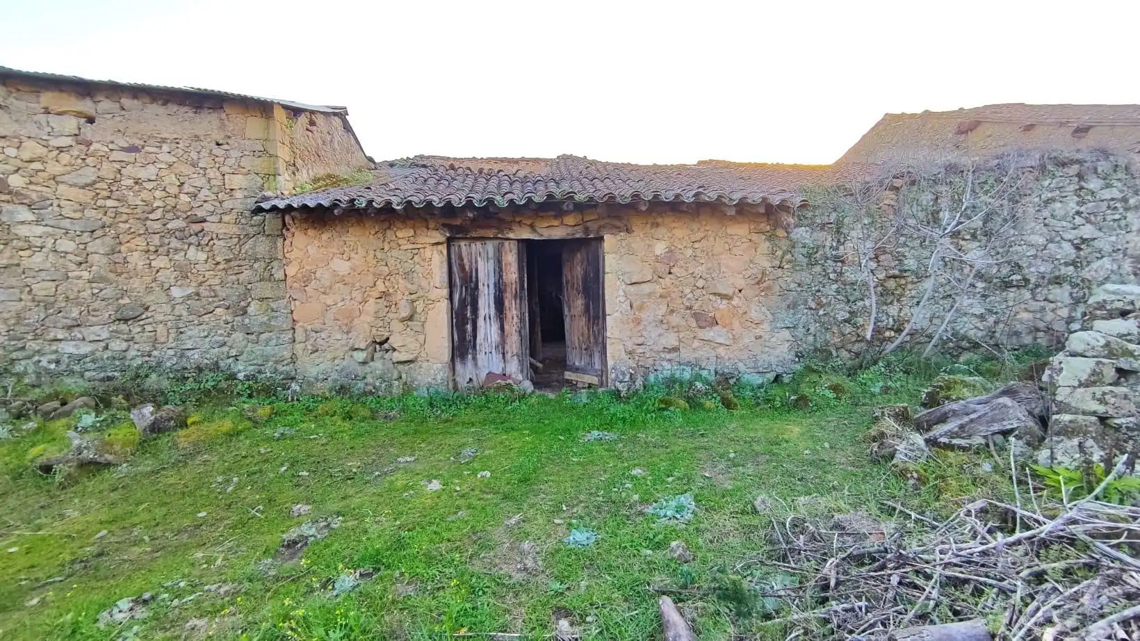 Casa adosada en venta en Aceituna