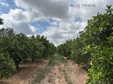 Terreno residencial en venta en Sagunto ciudad