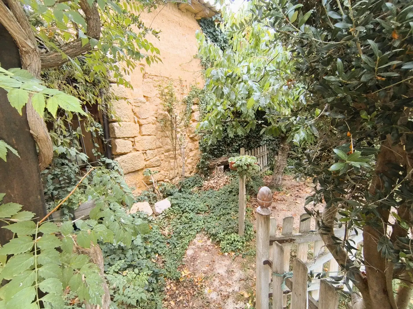 Jardín de Finca rústica en venta en Amusco, Palencia