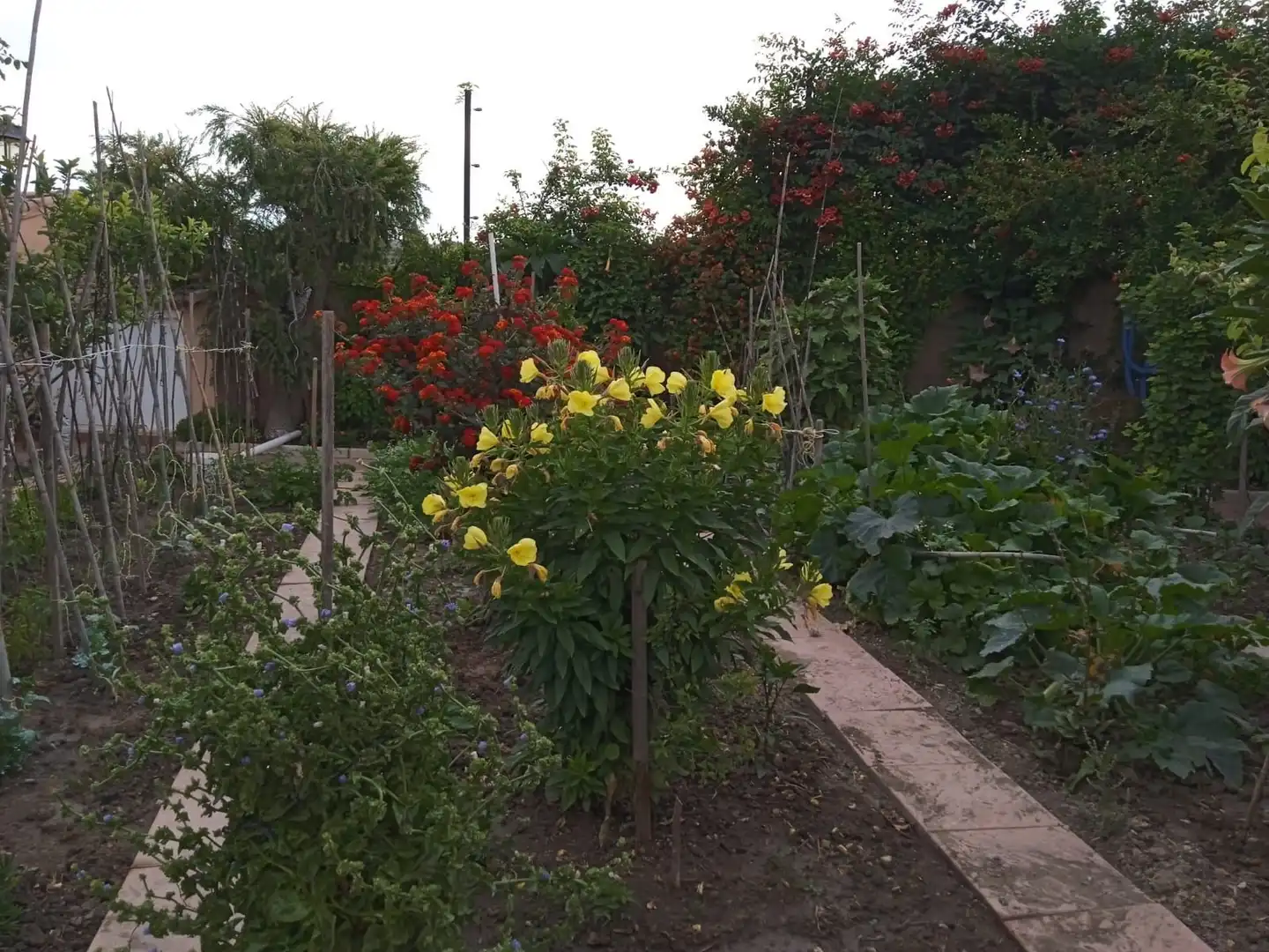 Jardín de Casa o chalet en venta en Cuevas del Becerro con Aire acondicionado, Calefacción y Jardín privado