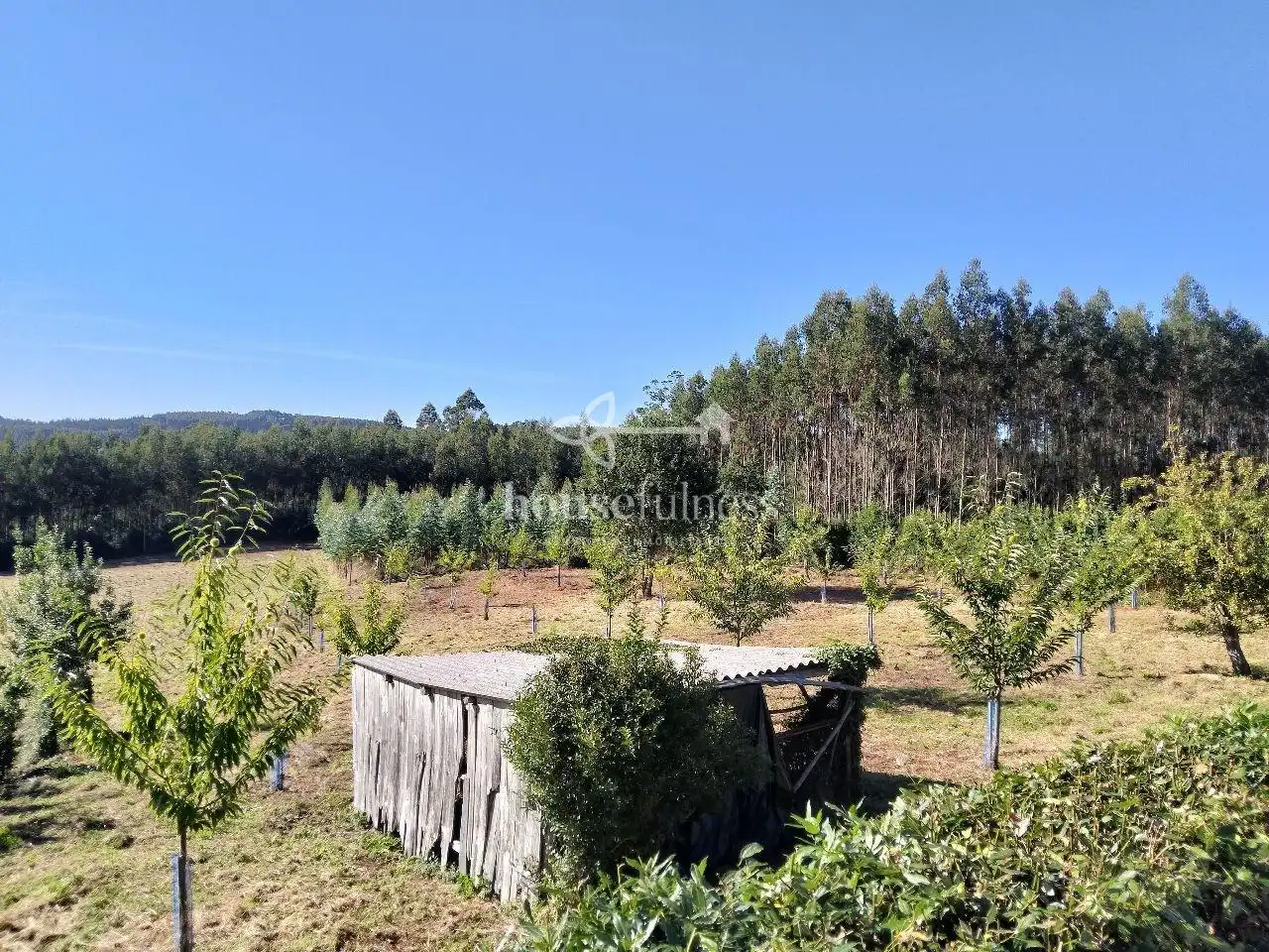 Haus mit Garten zum Verkauf in As Somozas, imagen 19
