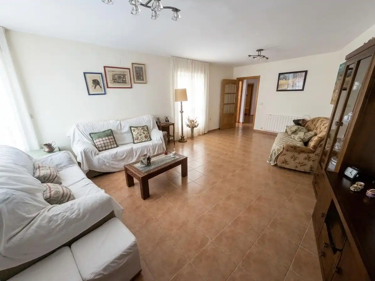 Sala d'estar de Casa o xalet en venda en Menasalbas amb Calefacció, Jardí privat i Traster