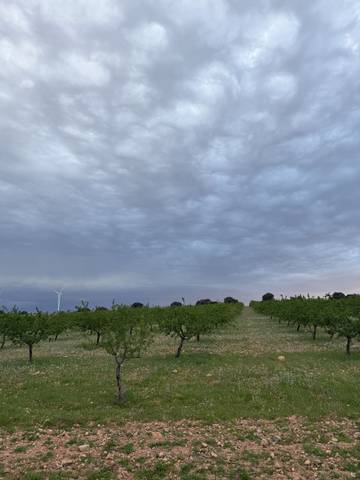 Terreno en Venta en CM-3106, 7 en Munera