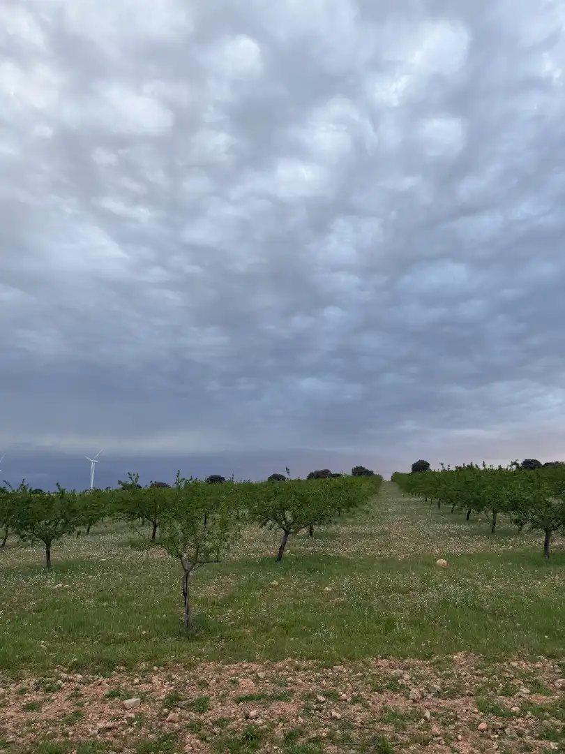 Terreno rustico in vendita a CM-3106 7