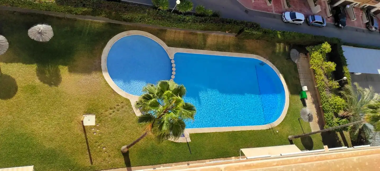 Swimming pool of Flat for sale in Alicante / Alacant  with Terrace, Storage room and Community pool