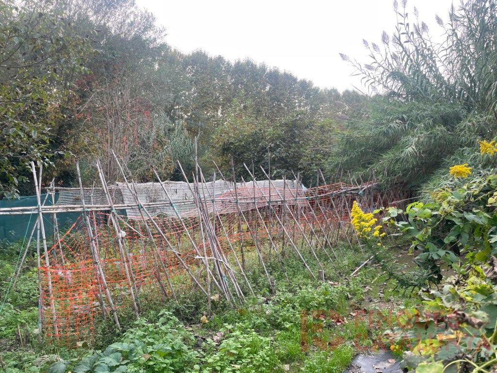 Casa o xalet en venda a Poligono 2 Paraje 15 Deveses, Veïnat