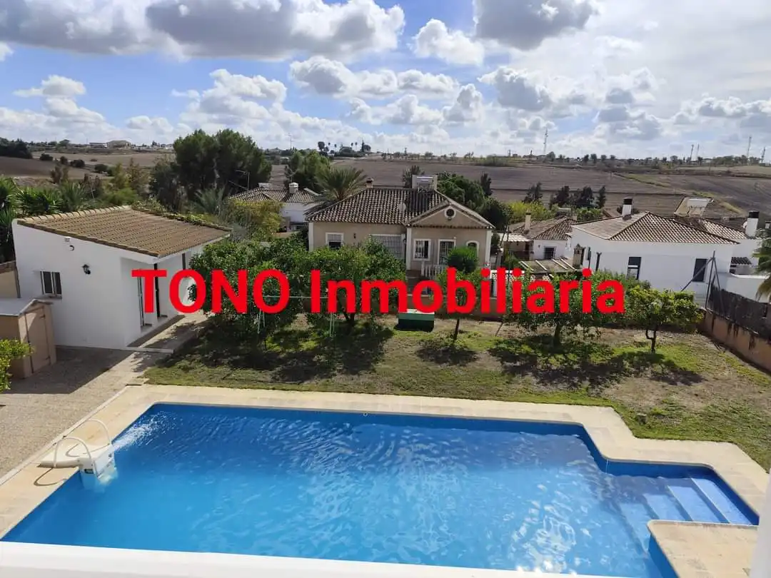 Vista exterior de Casa o xalet en venda en Écija amb Jardí privat, Terrassa i Piscina