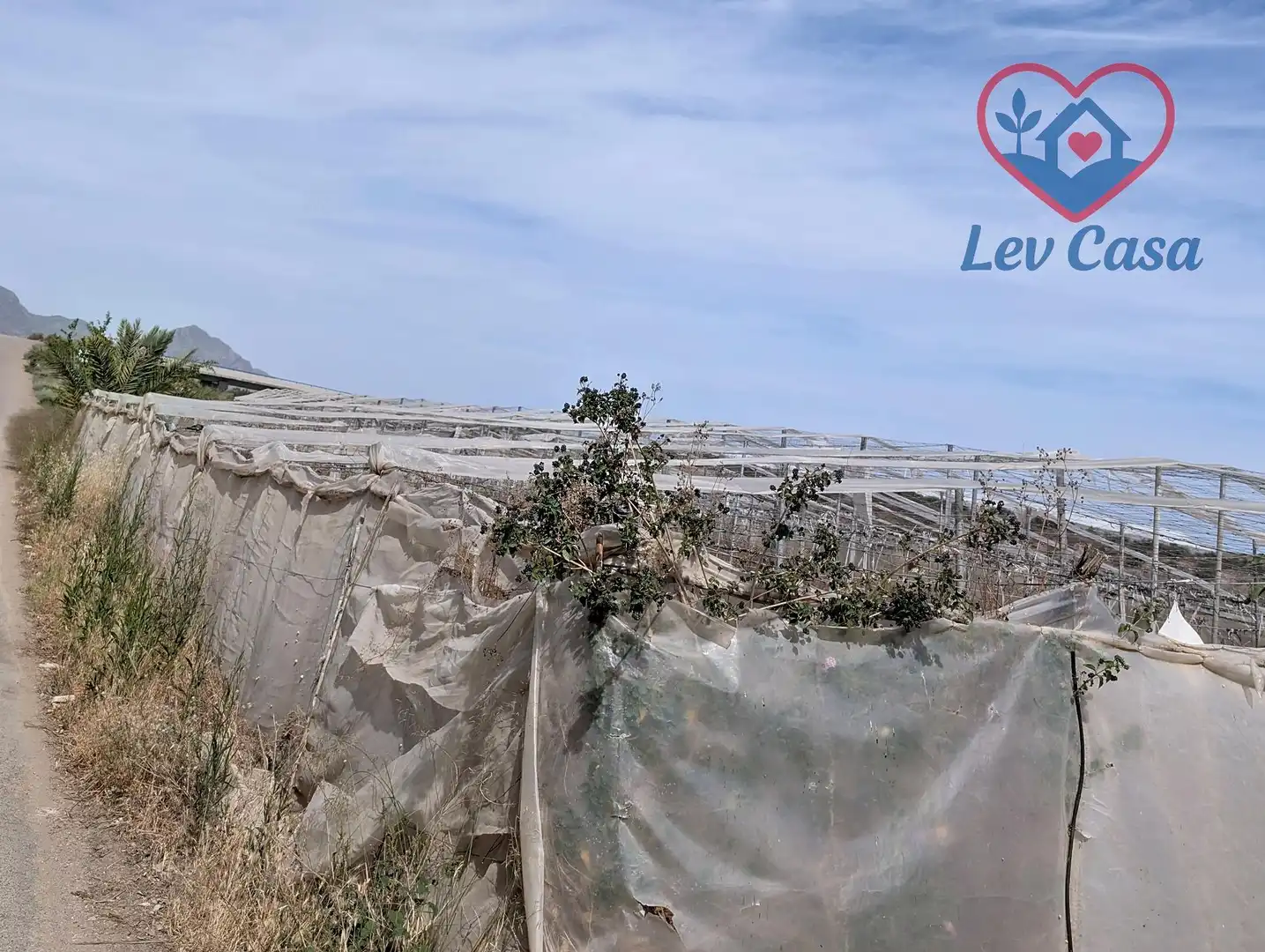 Casa o chalet en venta en Lorca