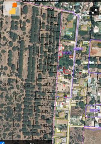 Terreno en Venta en Las Lagunas - Campano