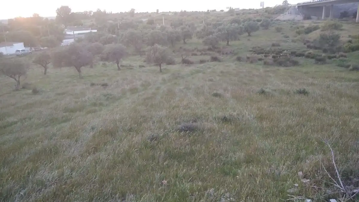 Finca rústica en venda en Mérida