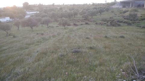 Foto 3 de Finca rústica en venda a Oeste, Mérida