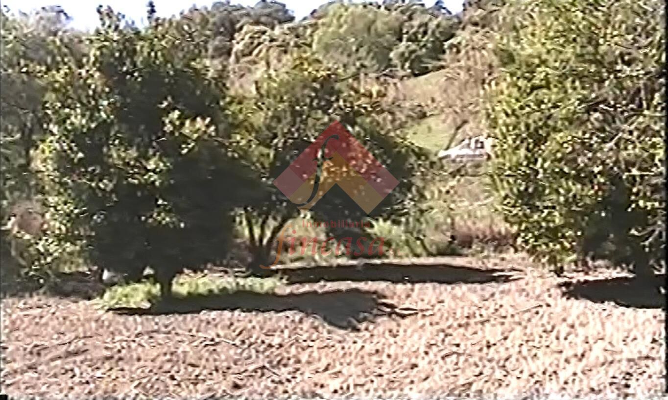 Finca rústica en venta en Ronda