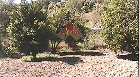 Foto 3 de Finca rústica en venda a Casco Histórico, Ronda