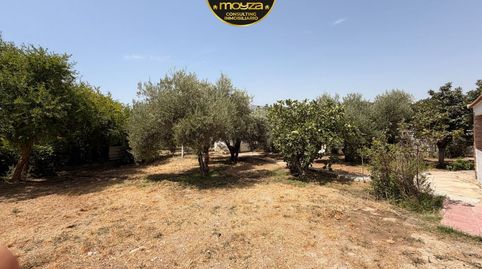 Foto 5 de Casa o chalet en venta en Puente Jontoya - Puente de la Sierra - El Arroyo, Jaén Capital