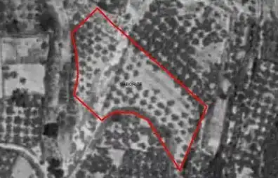 Rural land for sale in Padules, imagen 6