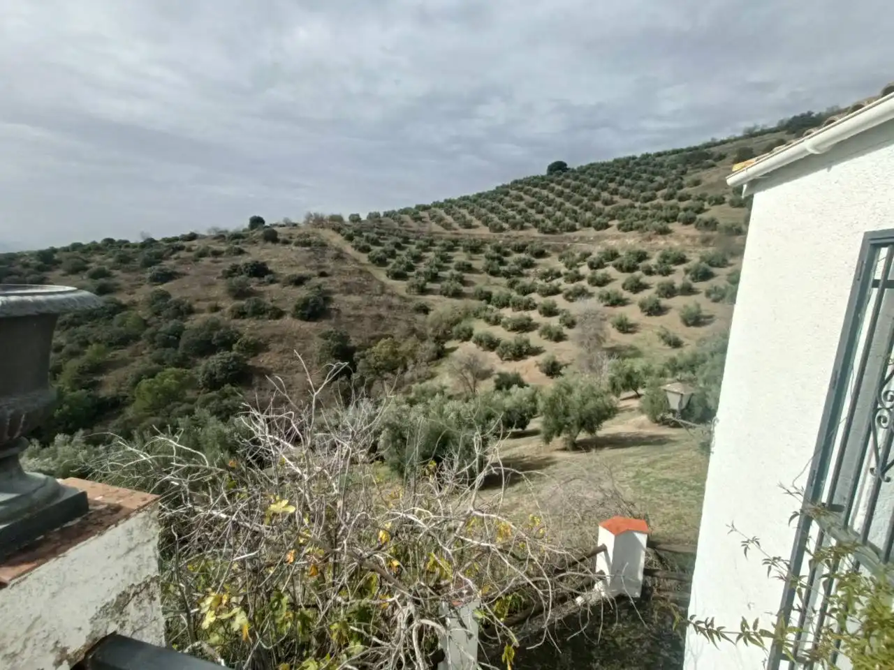 Casa rustica con giardino in vendita a Calle Polígono 49 16, imagen 38